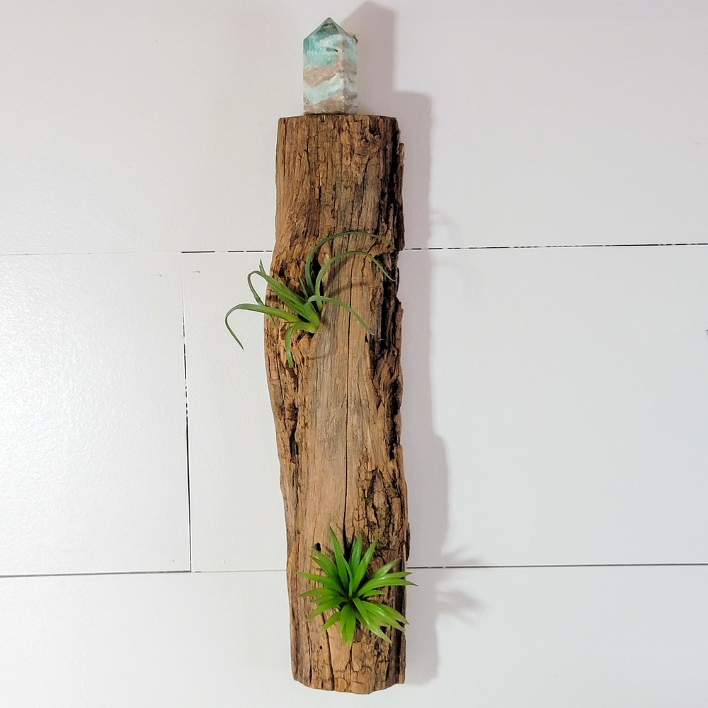 Natural Driftwood Wall Hanging Air Plant Holder Reclaimed Wood Decor